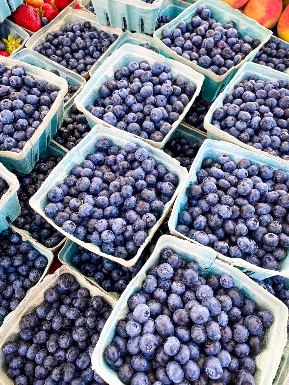 Blueberries in containers.