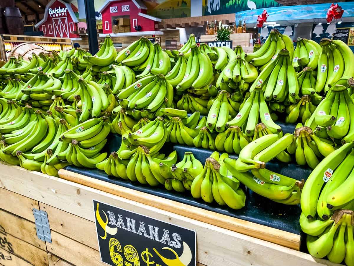 Non-ripe bananas for sale in grocery store.