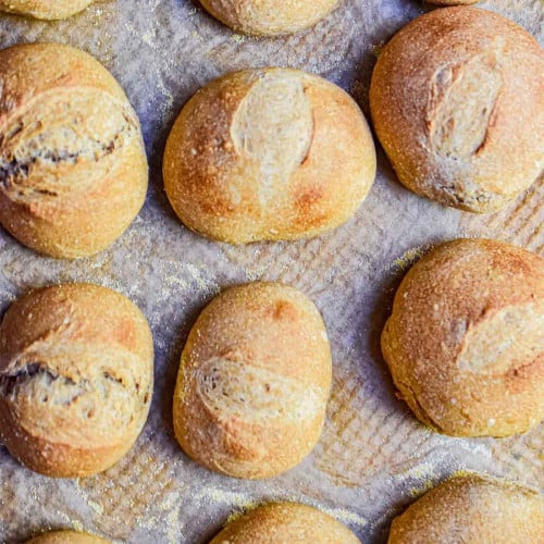 Dinner rolls on a baking pan ready to eat.