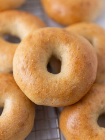 Vegan bagels.