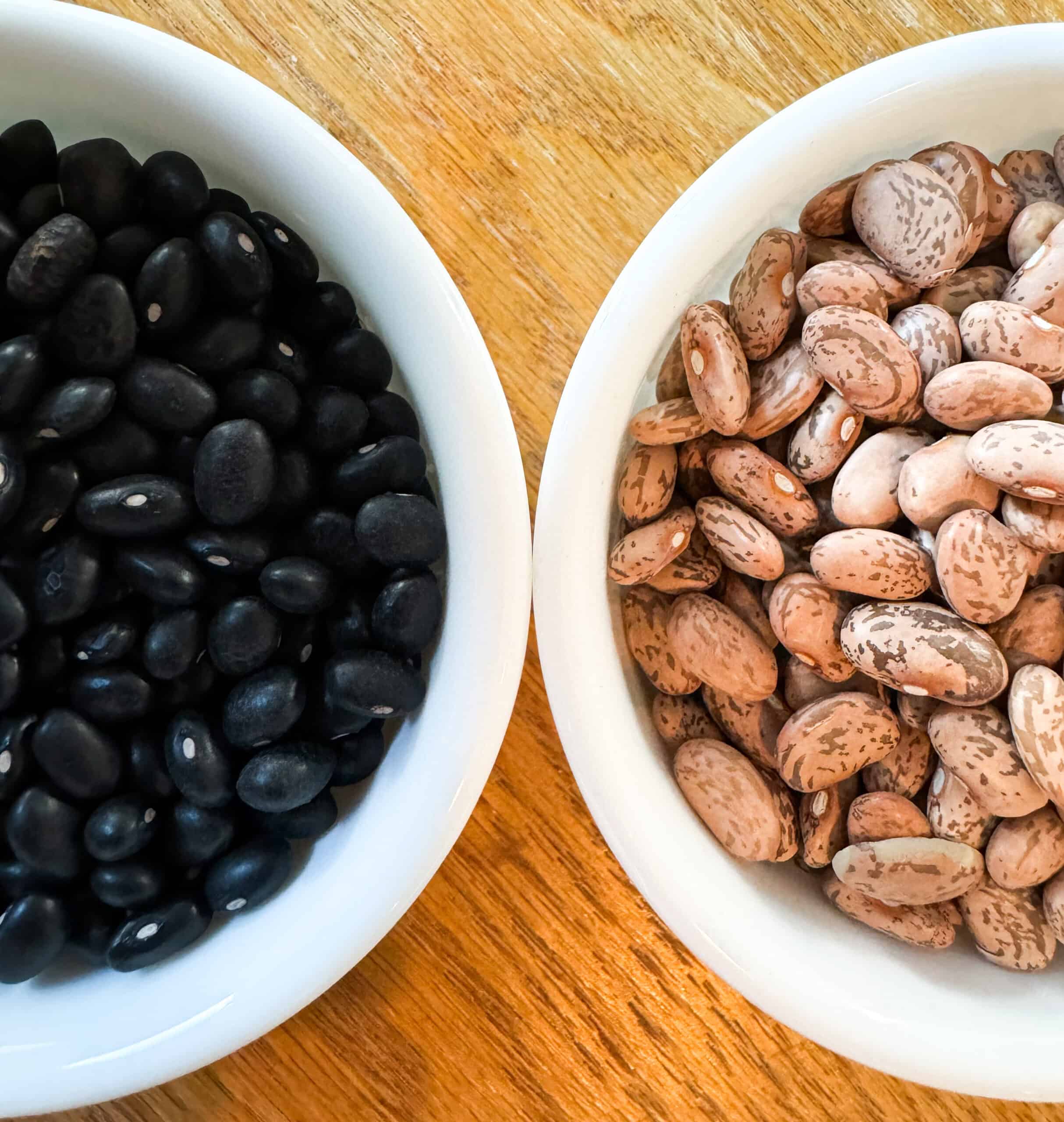 Black Beans vs Pinto Beans in a bowl