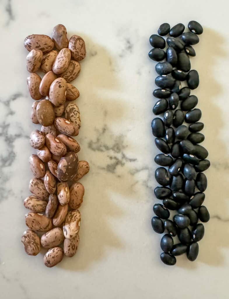 Black Beans vs. Pinto Beans