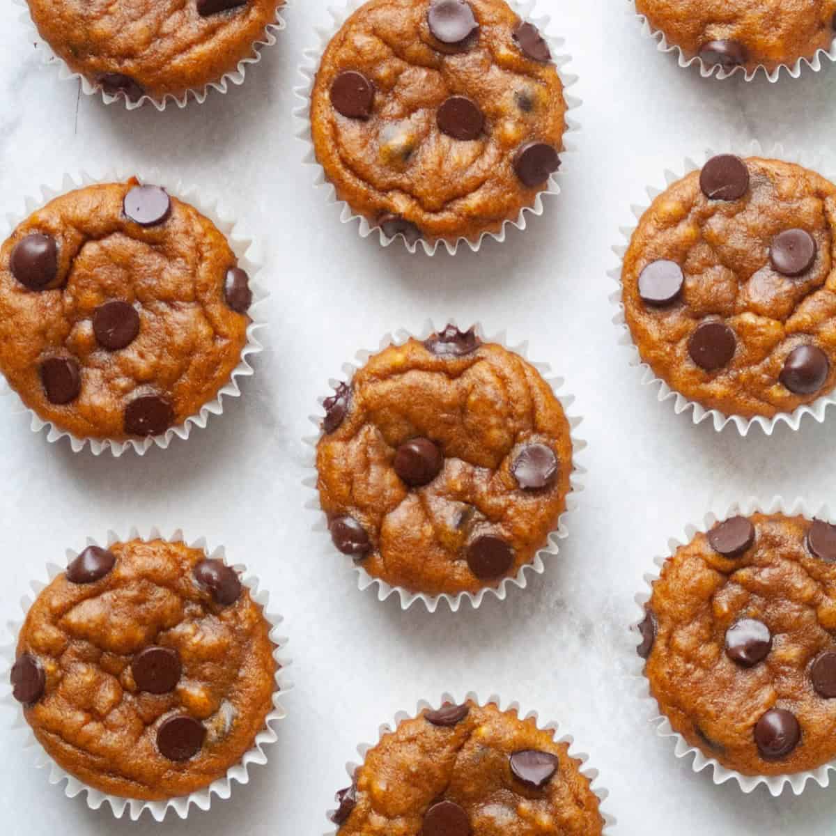 vegan pumpkin muffins baked up on a baking sheet - 1200x1200 image