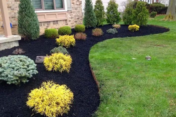 Expert Tips for Lawn Care in 2025: A Guide for the Modern American Homeowner